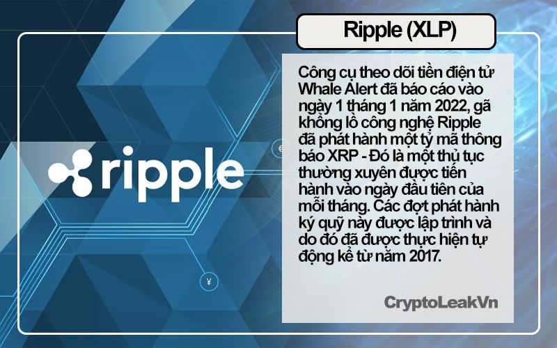 Ripple Tin tức Crypto 24h 