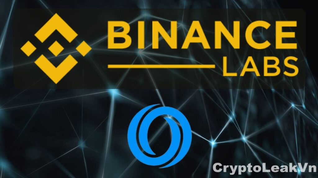 Binance Labs đầu tư 200 triệu đô la vào quỹ hệ sinh thái Oasis 