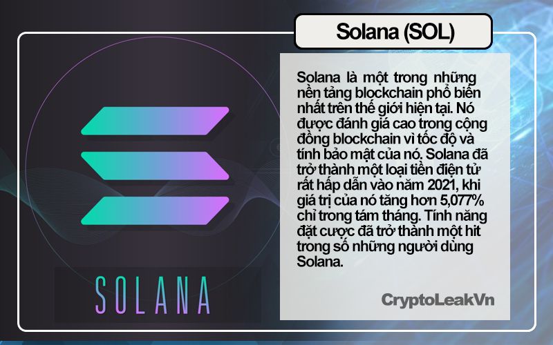 solana-Tin tức Crypto 24h 