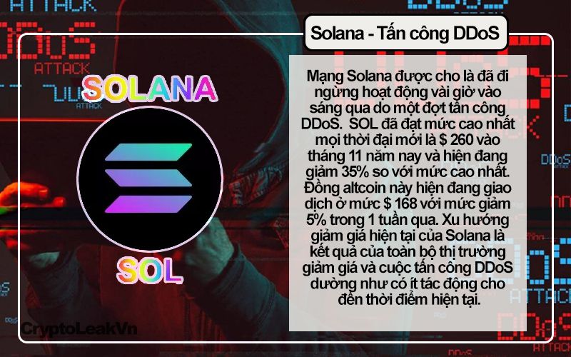 Tin tức Crypto  Solana